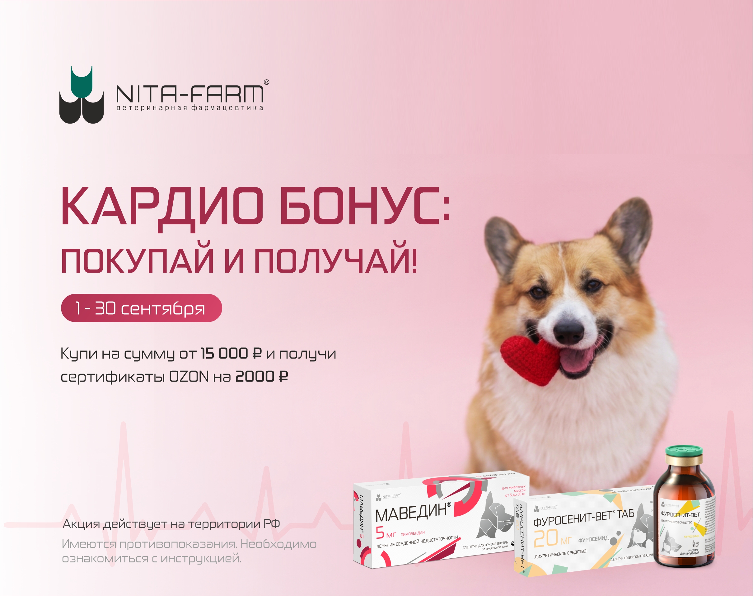 Кардио-бонус: препараты для питомцев с болезнями сердца + подарок