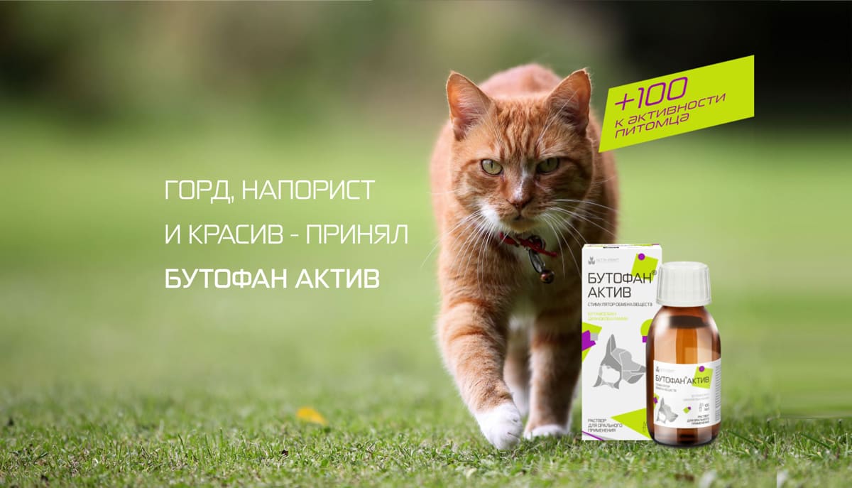 Старт продаж «Бутофан Актив» 100 мл