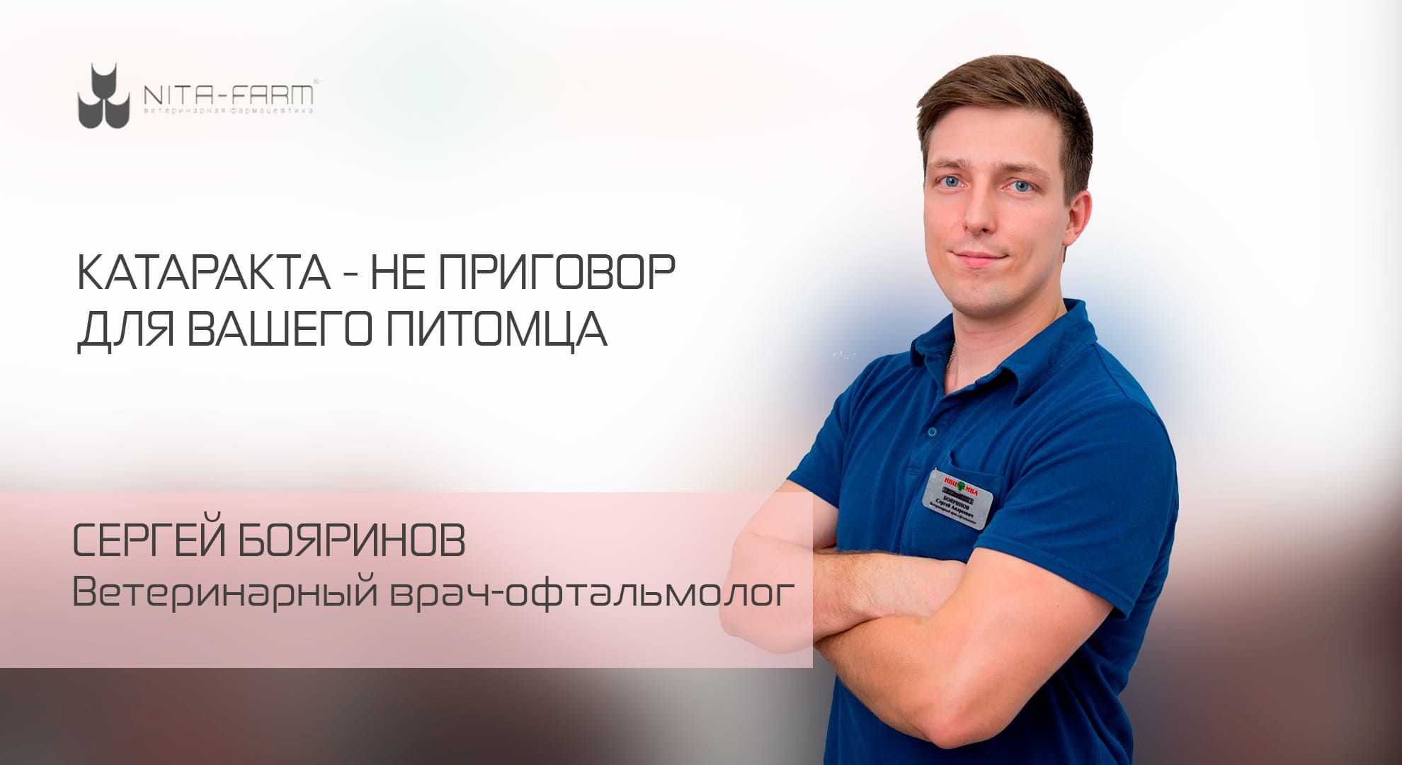 Катаракта – не приговор для вашего питомца