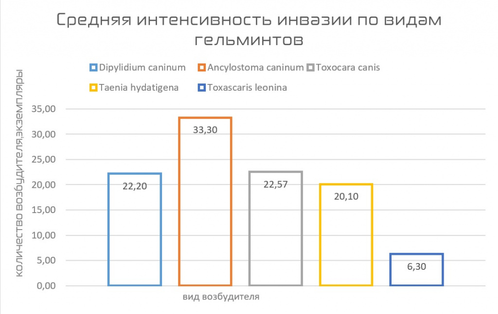инвазия.jpg