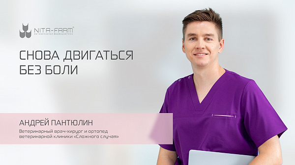 Запись вебинара «Снова двигаться без боли»